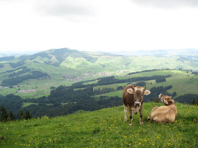 Aussicht auf Jakobsbad im Appenzell